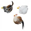 Ethical Pet Products Ethical Cat 688893 Feather Birds - Assorted 688893